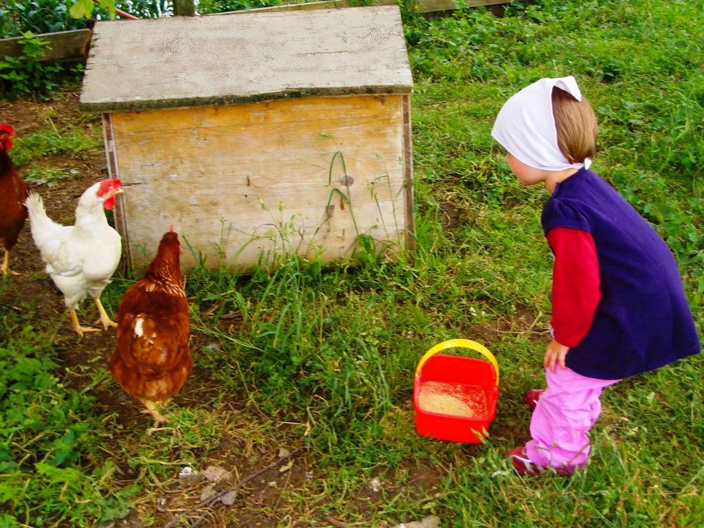 Bio-Bauernhof Heidegger Villa Moeggers Ngoại thất bức ảnh