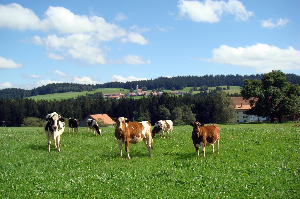 Bio-Bauernhof Heidegger Villa Moeggers Ngoại thất bức ảnh